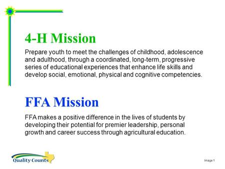 Prepare youth to meet the challenges of childhood, adolescence and adulthood, through a coordinated, long-term, progressive series of educational experiences.