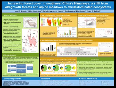 HistoricPre-banPost-ban Shangrila 1.Overall, logging declined and forests increased after the logging ban. 2.However, old-growth forest logging accelerated.