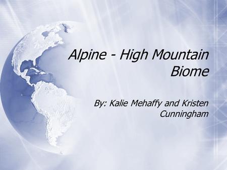 Alpine - High Mountain Biome By: Kalie Mehaffy and Kristen Cunningham.