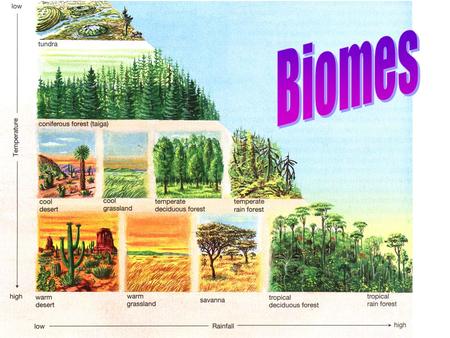 Biomes.