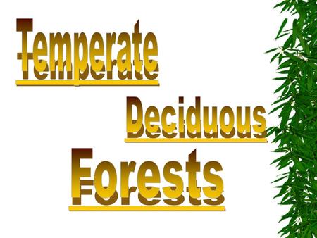 Temperate Deciduous Forests.