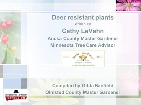 Deer resistant plants Written by: Cathy LeVahn Anoka County Master Gardener Minnesota Tree Care Advisor Compiled by Gilda Banfield Olmsted County Master.