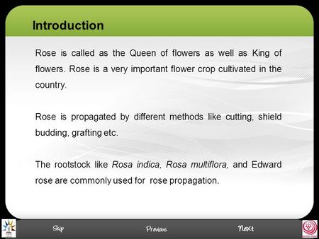 Rose is called as the Queen of flowers as well as King of flowers. Rose is a very important flower crop cultivated in the country. Rose is propagated by.