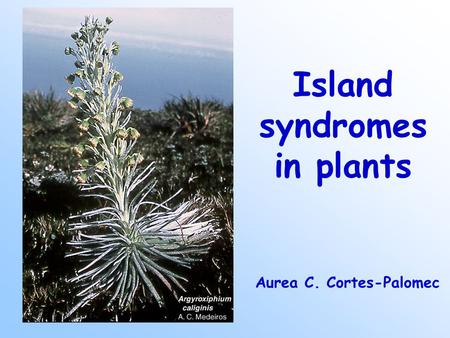 Island syndromes in plants Aurea C. Cortes-Palomec.