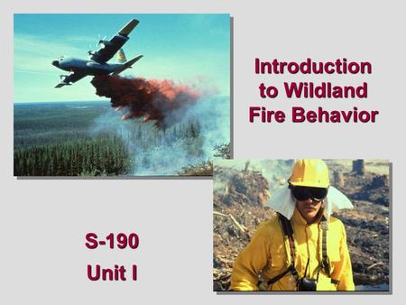 Introduction to Wildland Fire Behavior