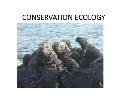 CONSERVATION ECOLOGY.