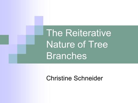 The Reiterative Nature of Tree Branches Christine Schneider.