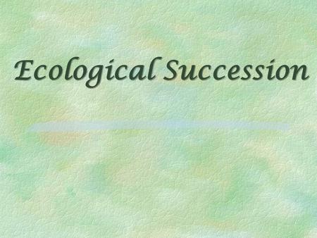 Ecological Succession