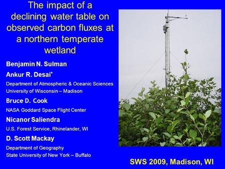 The impact of a declining water table on observed carbon fluxes at a northern temperate wetland Benjamin N. Sulman A nkur R. Desai * Department of Atmospheric.