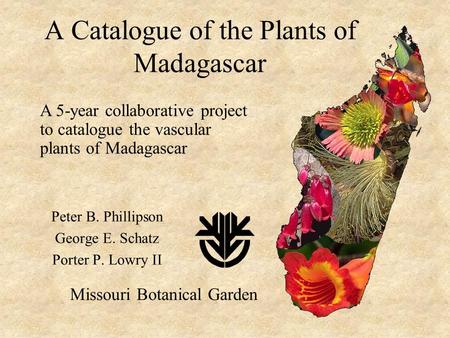 A Catalogue of the Plants of Madagascar Peter B. Phillipson George E. Schatz Porter P. Lowry II Missouri Botanical Garden A 5-year collaborative project.