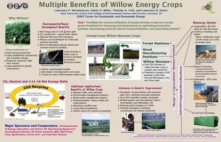 Portfolio of New Bioproducts and Energy Resources from Wood: bio-based chemicals, biofuels/biodiesel, biodegradable plastics/thermoplastic polyesters,