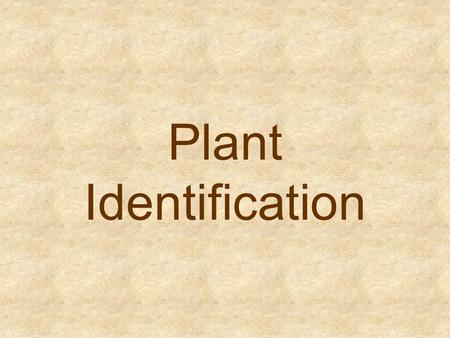 Plant Identification.