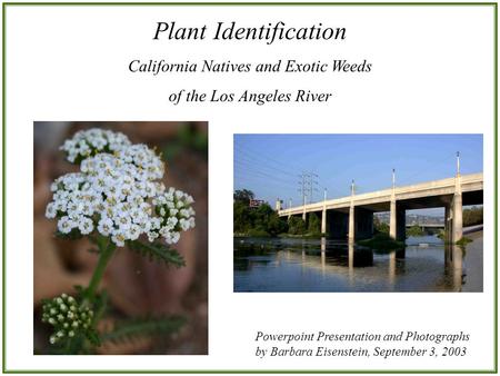 Plant Identification California Natives and Exotic Weeds