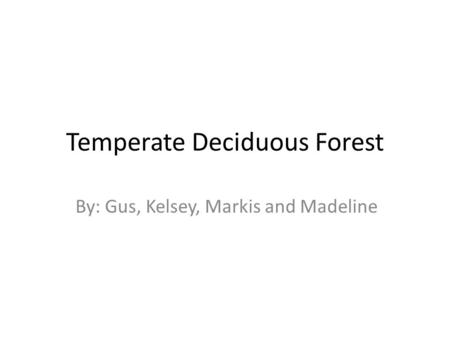 Temperate Deciduous Forest