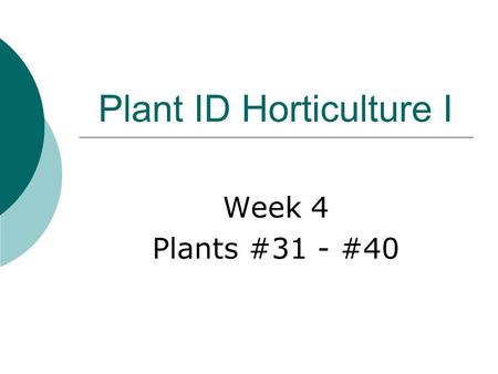 Plant ID Horticulture I Week 4 Plants #31 - #40 Hosta sp.  Common name:  Hosta  Deciduous perennial  Height: 18”-20”  Average growth rate  Rounded.