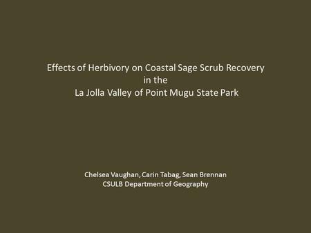 Effects of Herbivory on Coastal Sage Scrub Recovery in the La Jolla Valley of Point Mugu State Park Chelsea Vaughan, Carin Tabag, Sean Brennan CSULB Department.