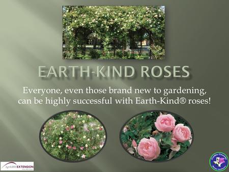 Everyone, even those brand new to gardening, can be highly successful with Earth-Kind® roses!