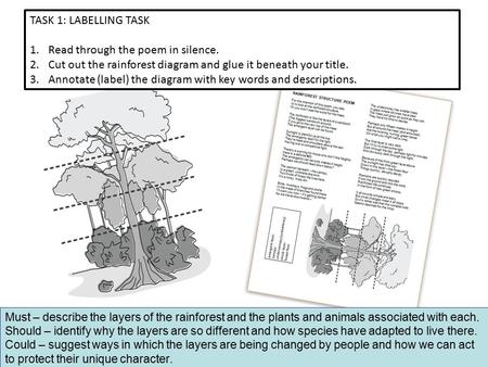 TASK 1: LABELLING TASK 1.Read through the poem in silence. 2.Cut out the rainforest diagram and glue it beneath your title. 3.Annotate (label) the diagram.