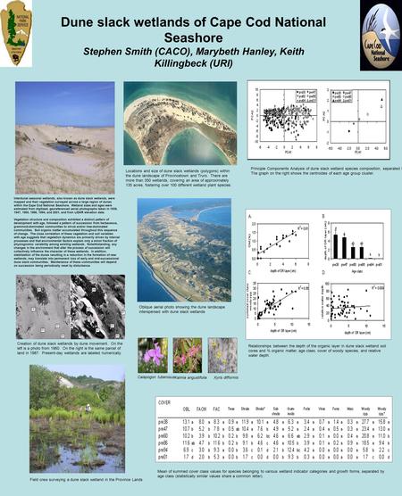 Dune slack wetlands of Cape Cod National Seashore Stephen Smith (CACO), Marybeth Hanley, Keith Killingbeck (URI) Interdunal seasonal wetlands, also known.