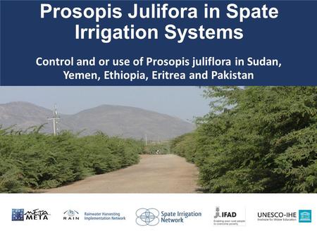 Prosopis Julifora in Spate Irrigation Systems