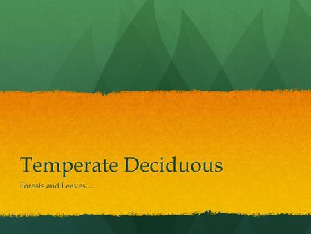 Temperate Deciduous Forests and Leaves…. Who Am I? I am a forest, I am trees, I am leaves, I am the sum of all my parts… I am a forest, I am trees, I.