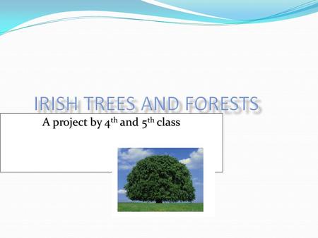 A project by 4th and 5th class. Silviculture Silviculture is the growing of trees Silviculture is the growing of trees The Irish State Forestry department.