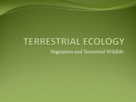 Vegetation and Terrestrial Wildlife. Vegetation Plant Communities Disturbance Unique Communities Wildlife Amphibians and Reptiles Birds Mammals.