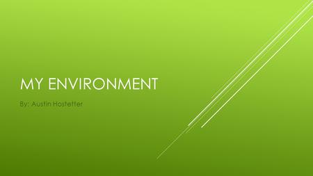 MY ENVIRONMENT By: Austin Hostetter. How was your county settled? In 1683, Penn purchased from the Indians a part of land which extended from the Delaware.