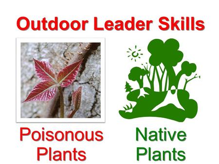 Outdoor Leader Skills Native Plants Poisonous Plants.