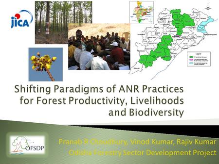 Pranab R Choudhury, Vinod Kumar, Rajiv Kumar Odisha Forestry Sector Development Project.