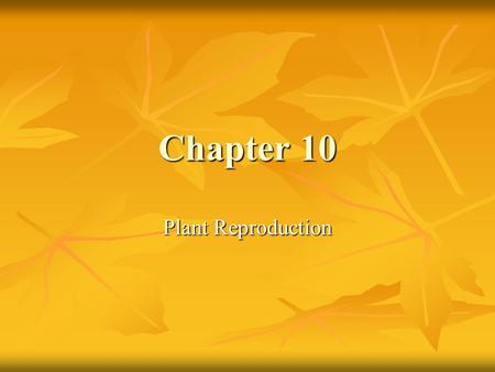 Chapter 10 Plant Reproduction.