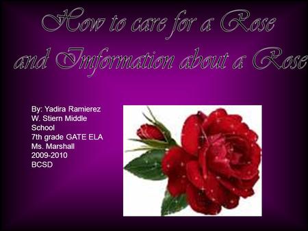 By: Yadira Ramierez W. Stiern Middle School 7th grade GATE ELA Ms. Marshall 2009-2010 BCSD.