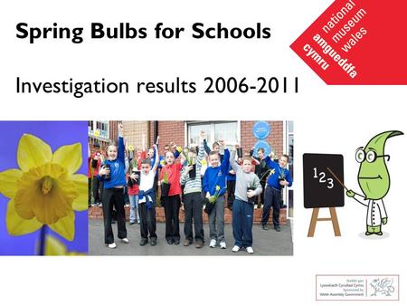 Spring Bulbs for Schools Investigation results 2006-2011.