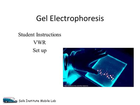 Salk Institute Mobile Lab Gel Electrophoresis Student Instructions VWR Set up.