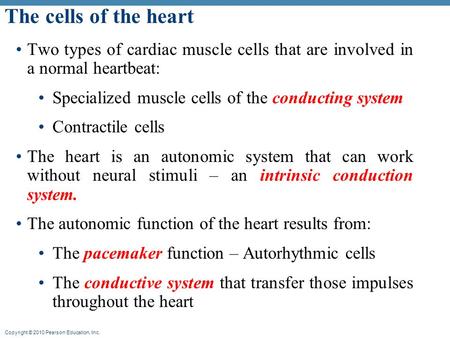 The cells of the heart Two types of cardiac muscle cells that are involved in a normal heartbeat: Specialized muscle cells of the conducting system Contractile.