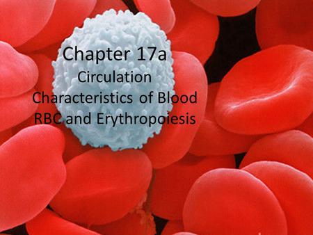 Overview of Vessels Arteries: blood vessels that move AWAY from the heart Veins: vessels that move TOWARD the heart Capillaries: Small vessels created.