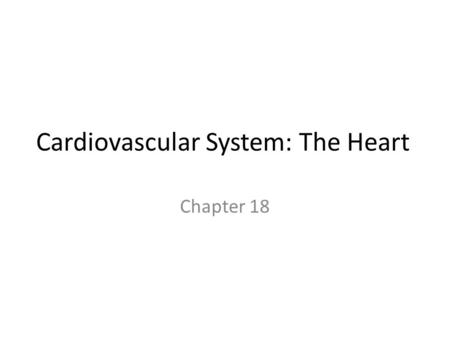 Cardiovascular System: The Heart