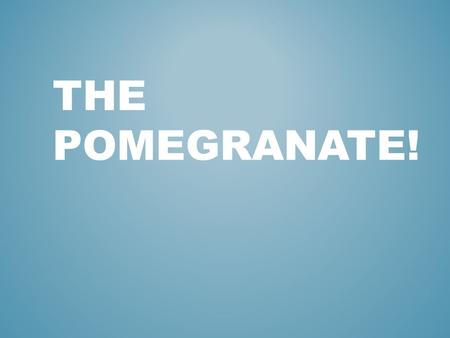 THE POMEGRANATE!. GROWS ON A TREE THAT IS ABOUT 15- 25 FEET TALL.