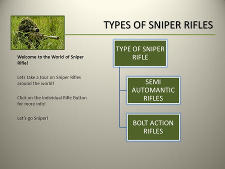 SEMI AUTOMANTIC RIFLES