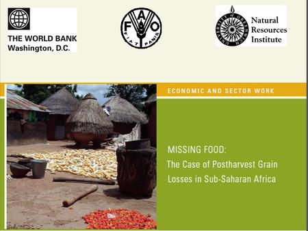 The Size of the Problem Losses are lower than previously estimated but still substantial. Average grain losses are estimated to range between 10-20% (depending.