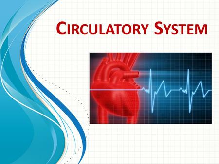 Circulatory System This template can be used as a starter file for presenting training materials in a group setting. Sections Right-click on a slide to.