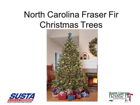 North Carolina Fraser Fir Christmas Trees. Fraser Firs and Christmas Celebrating the holiday season with a Real Christmas Tree is a long-standing tradition.