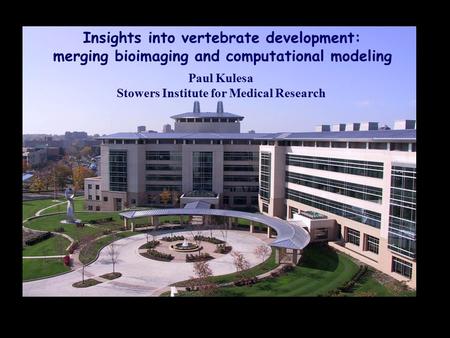 Paul Kulesa Stowers Institute for Medical Research Insights into vertebrate development: merging bioimaging and computational modeling.