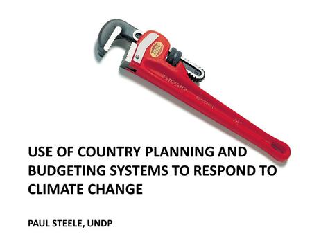 USE OF COUNTRY PLANNING AND BUDGETING SYSTEMS TO RESPOND TO CLIMATE CHANGE PAUL STEELE, UNDP.