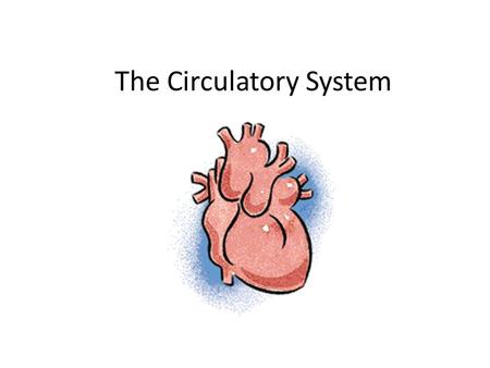 The Circulatory System