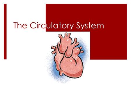 The Circulatory System