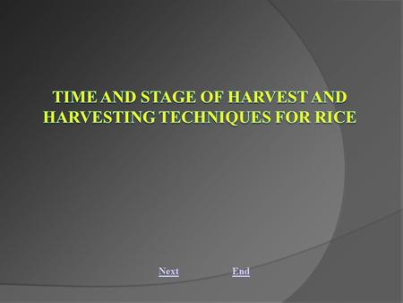 NextEnd. Time and stage of harvest and harvesting techniques for rice Abstract: Identification of maturity and correct stage of harvest is one of the.