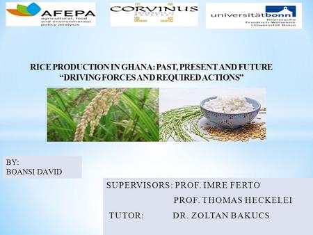 RICE PRODUCTION IN GHANA: PAST, PRESENT AND FUTURE “DRIVING FORCES AND REQUIRED ACTIONS” SUPERVISORS: PROF. IMRE FERTO PROF. THOMAS HECKELEI TUTOR: DR.