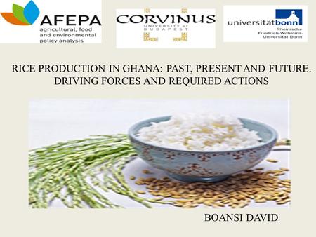 RICE PRODUCTION IN GHANA: PAST, PRESENT AND FUTURE. DRIVING FORCES AND REQUIRED ACTIONS BOANSI DAVID.