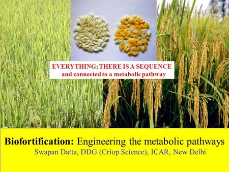 Biofortification: Engineering the metabolic pathways Swapan Datta, DDG (Criop Science), ICAR, New Delhi EVERYTHING; THERE IS A SEQUENCE and connected to.